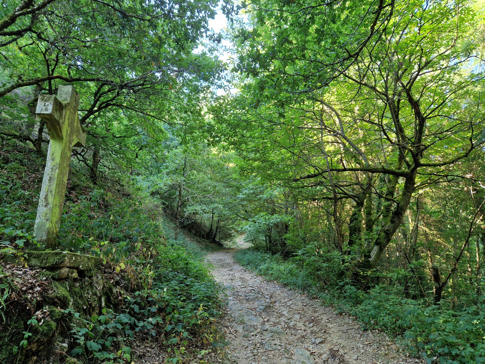 Rieupeyroux - Les Parras