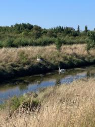 Chenal du DOUHET