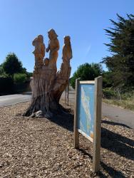 Arbre sculpté au départ de Chaucre (et arrivée)