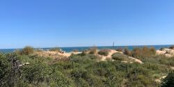 Vue sur mer dans les single de la forêt des Saumonards