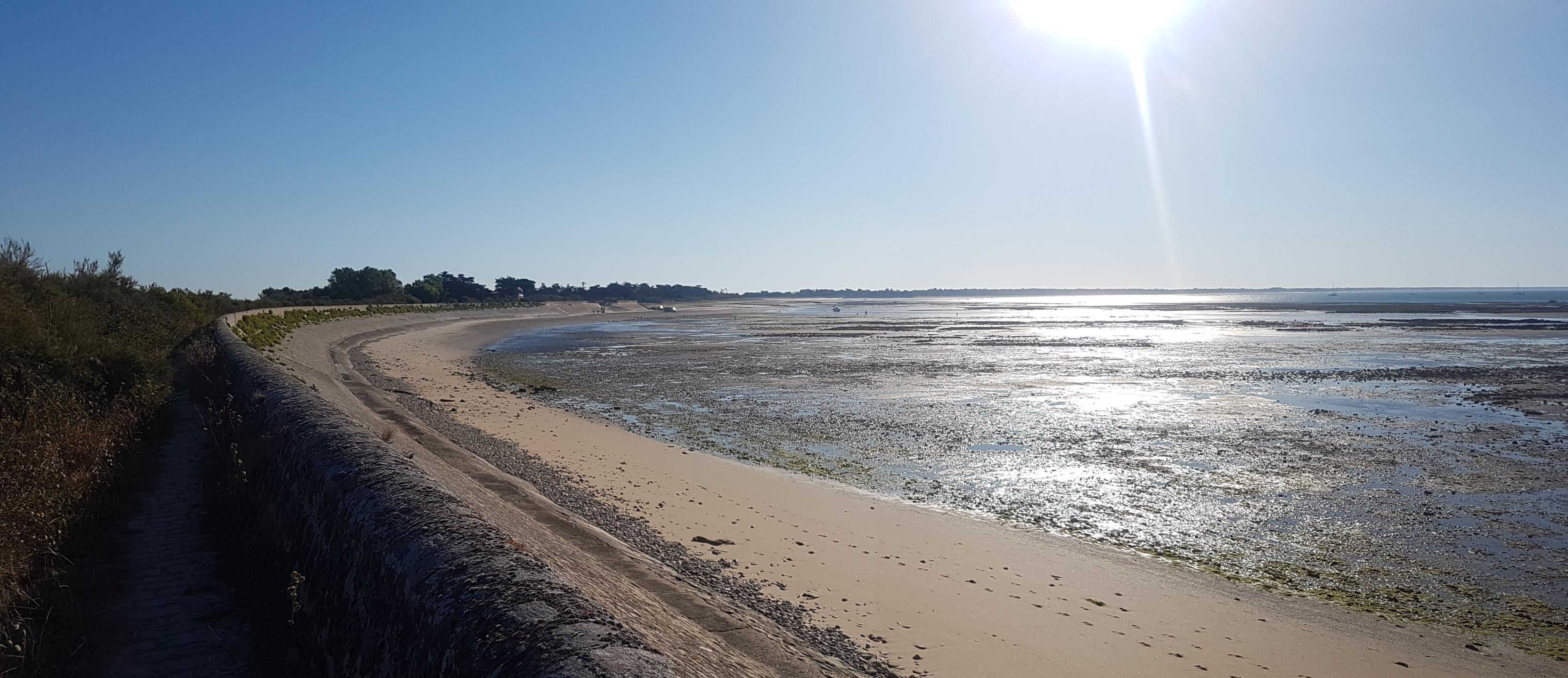 Le quasi tour de l'île de Ré
