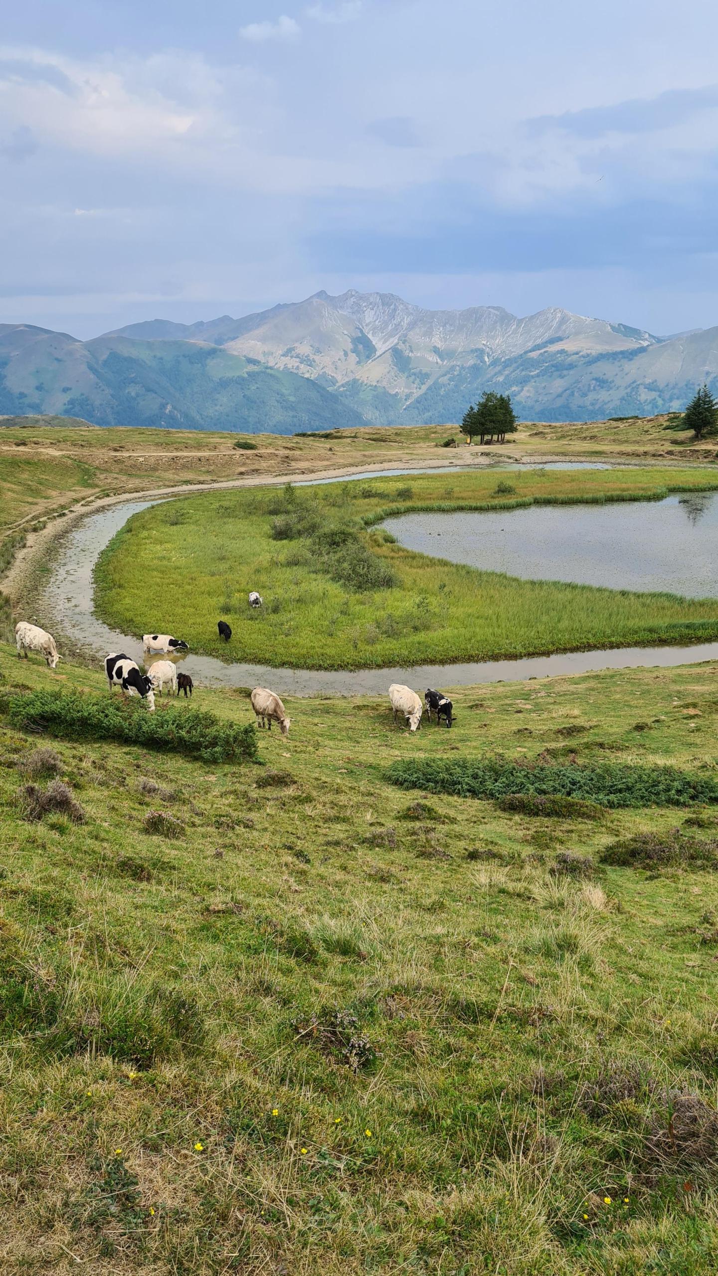 Cols de Couraduque et de Soulor