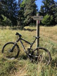 VTT-32008