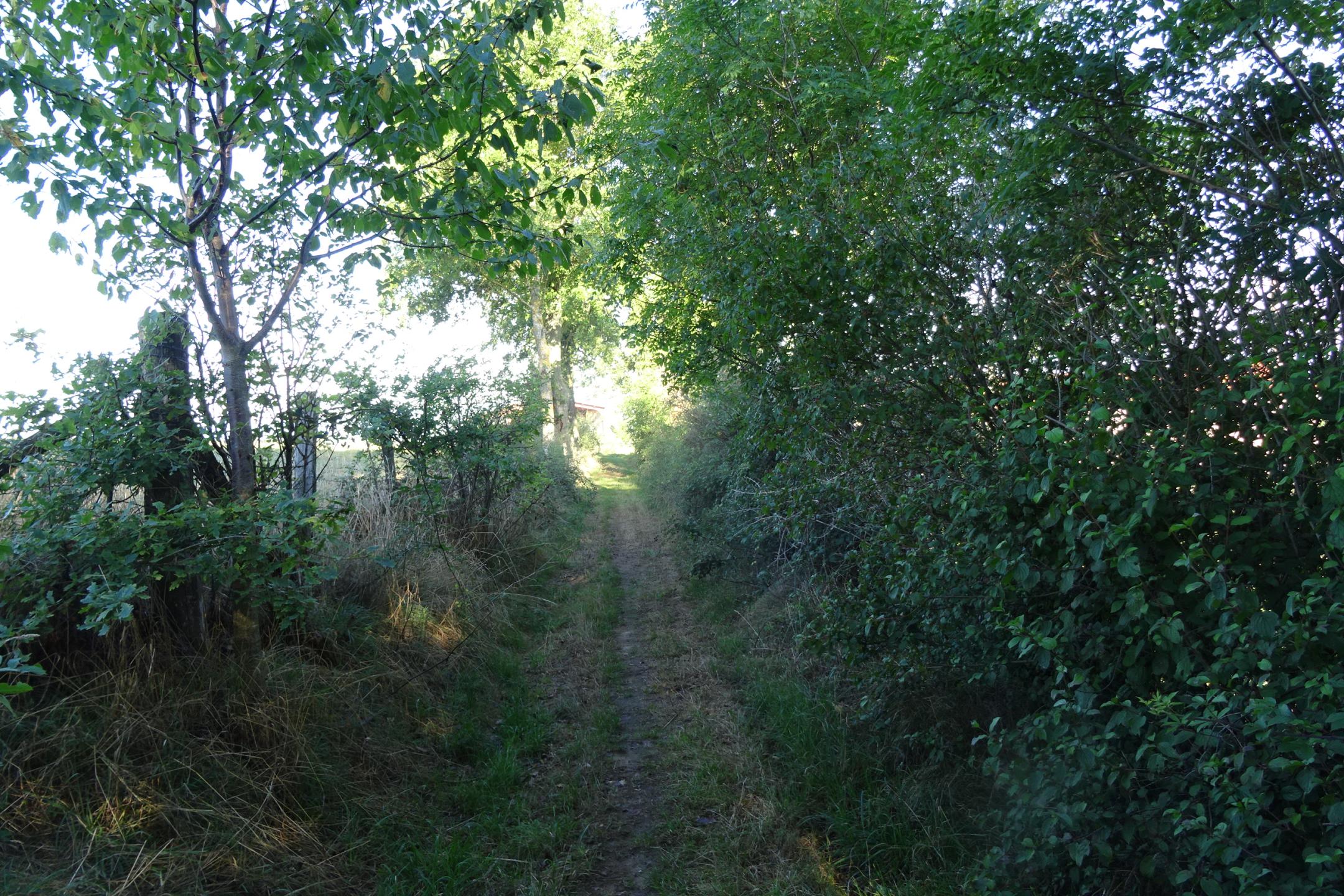 Veauche - Fontanès