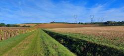 Piste agricole vers le château de Montfand
