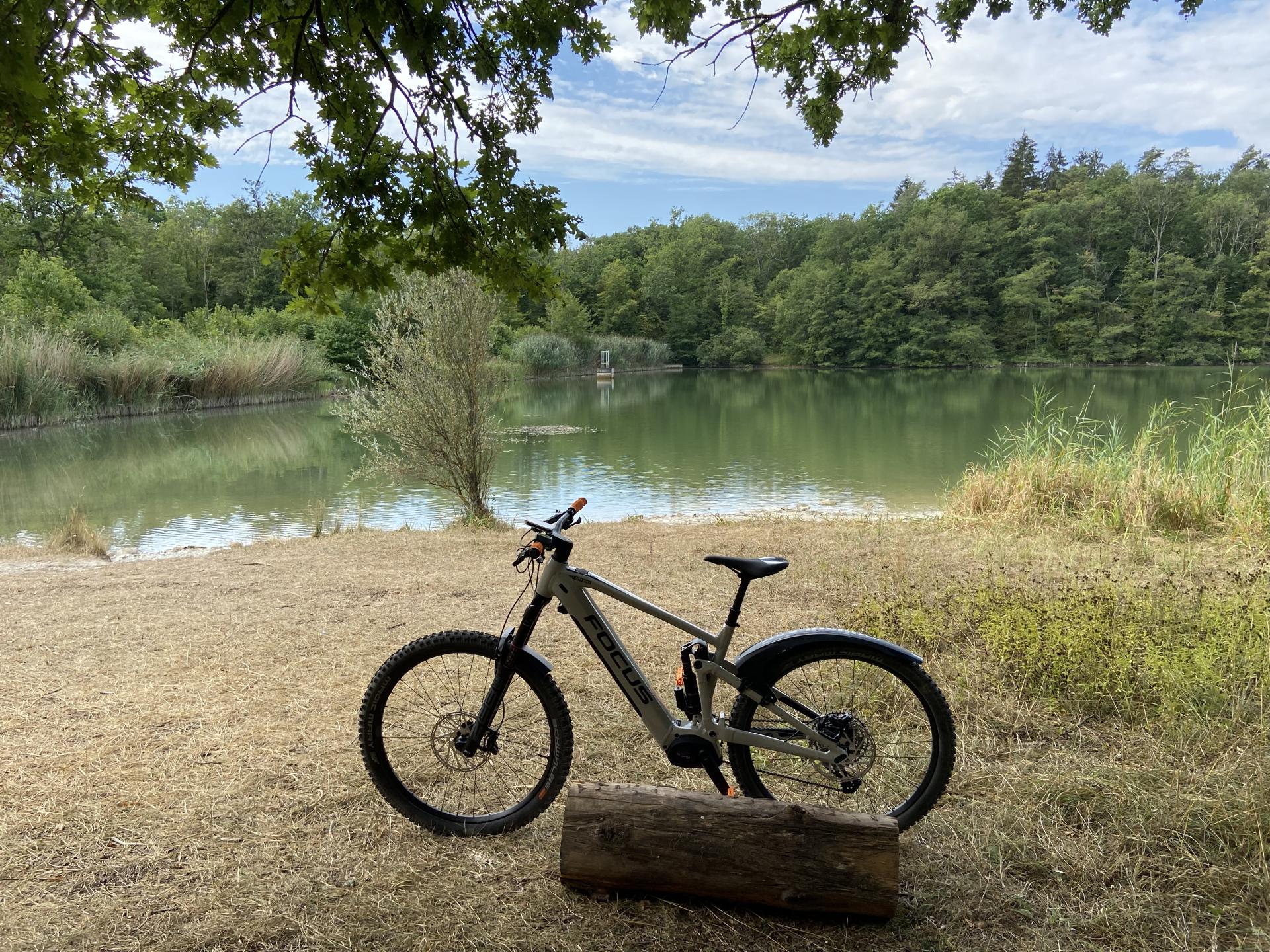 Ride en forêt de Villers