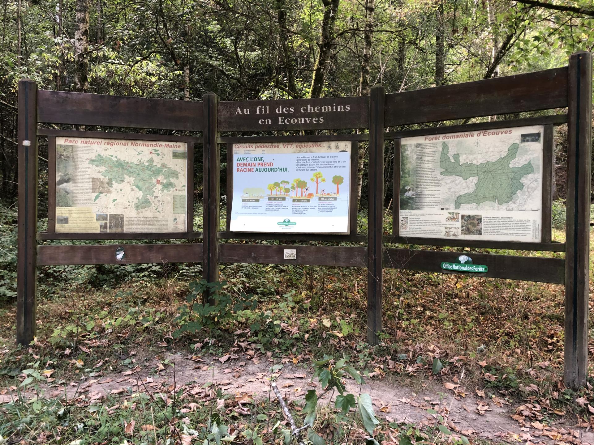 La Roche-Mabile - La forêt d'Ecouves
