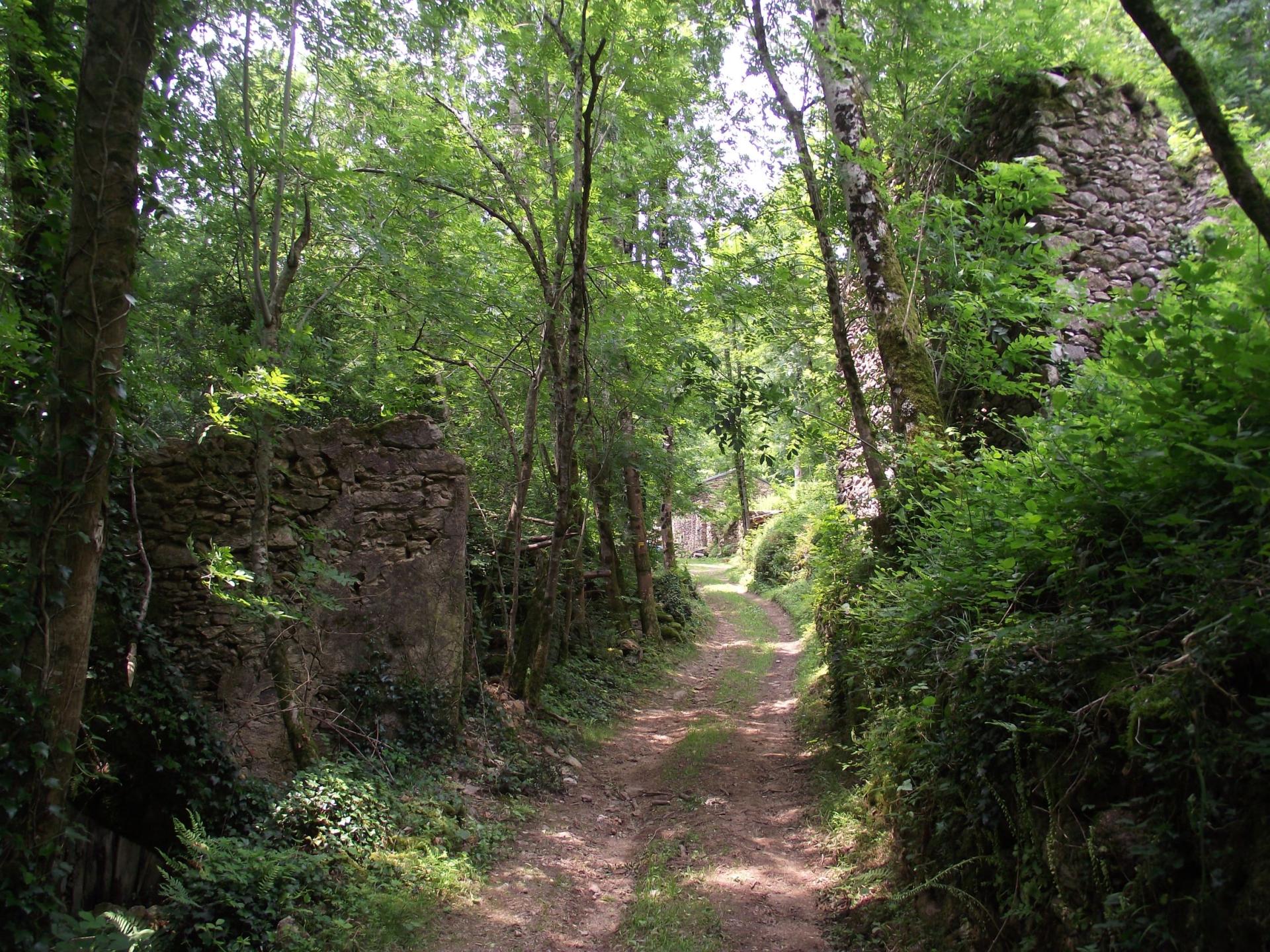 Le ruisseau de Candesoubre