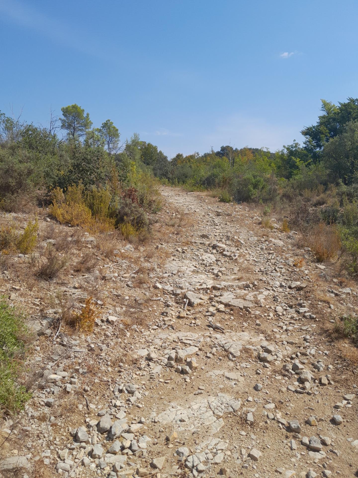 Pic Saint-Loup