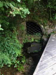 La source du monastère (Klosterquelle)