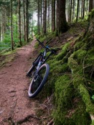 VTT-36961