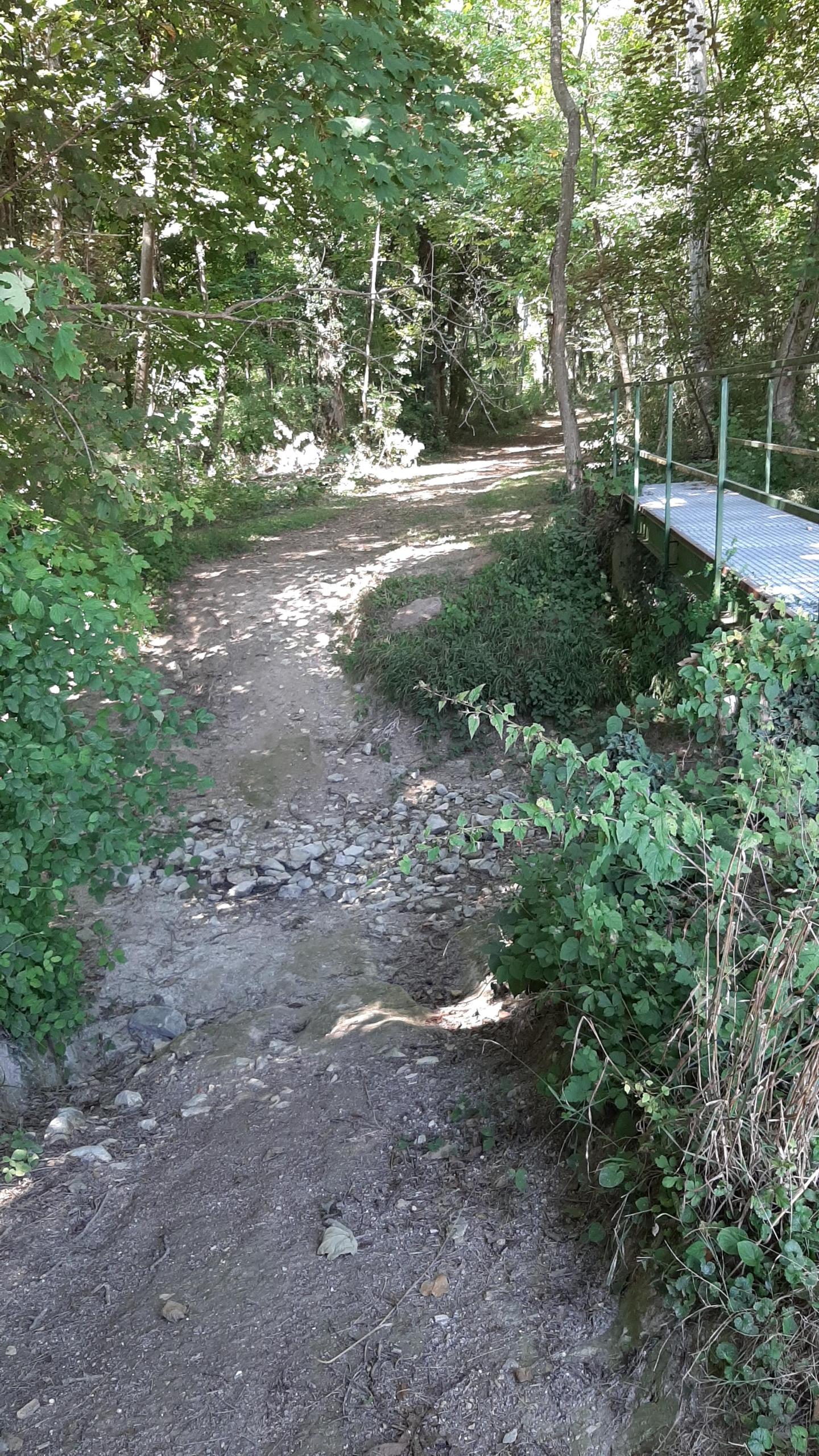 Vornay - Crosses - Soye - Plaimpied - Canal du Berry - Annoix - Vornay