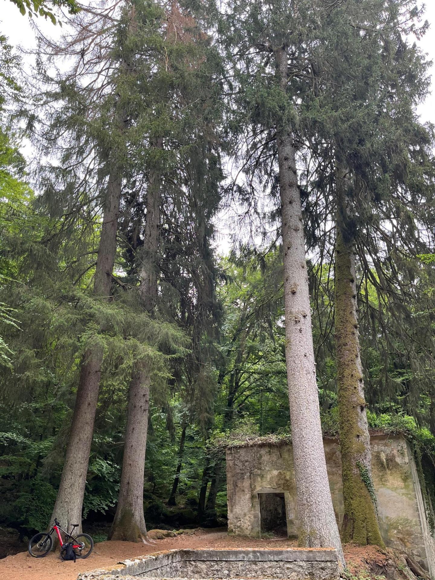 Escapade en Montagne Noire