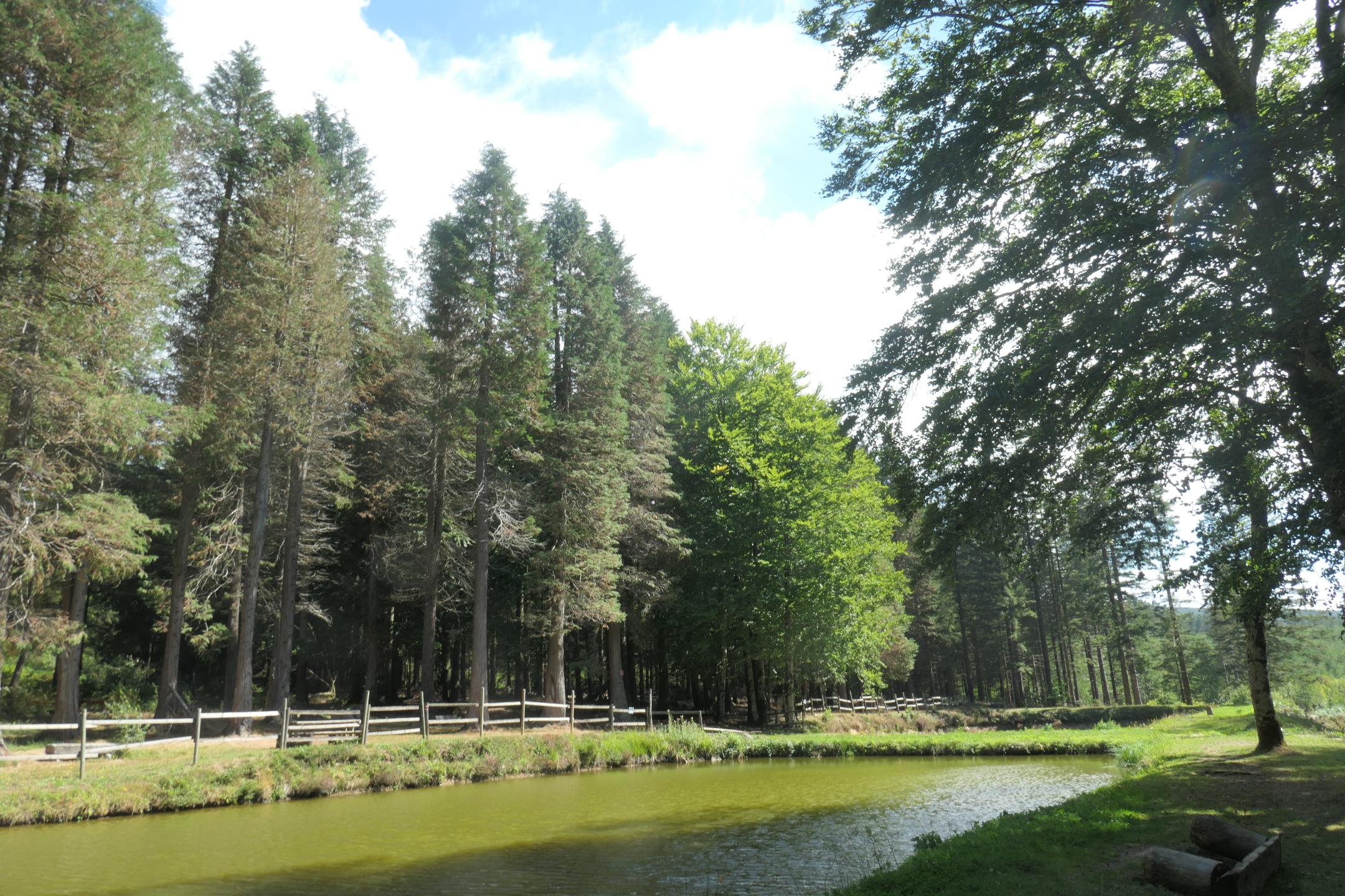 Entre Lacaune et Brassac