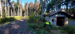 Après la Croix de Signy, entrée dans le Bois d'Azole