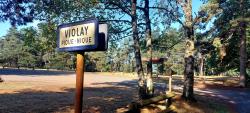 Parking à Violay La Tour Matagrin et aire de pique-nique