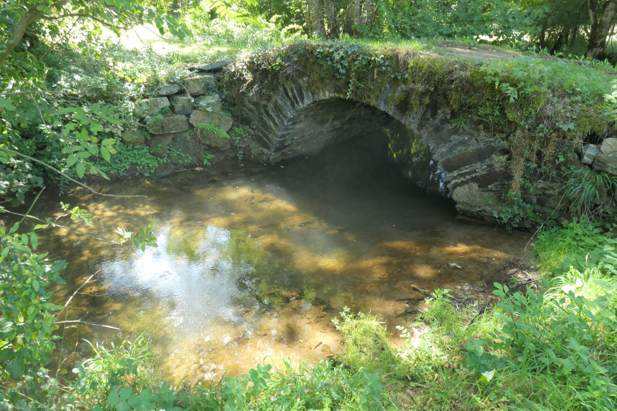 Col de la Bassine - Viane