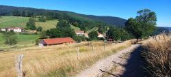 Montée vers le col du Haut de la Faye (vers Cherier, vue sur La Croix Trevingt)