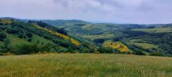 Paysage des Monts de la Madeleine, vue sur Les Moulins Cherier au fond de la vallée