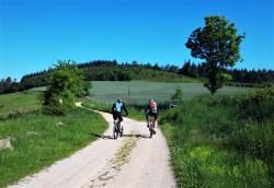 Proche du Col du Bouchet