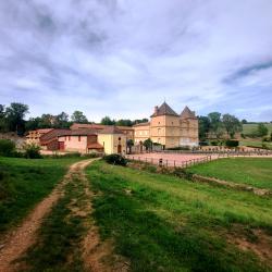 Château de Châtelus