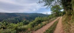 Montée vers Les Gonnauds