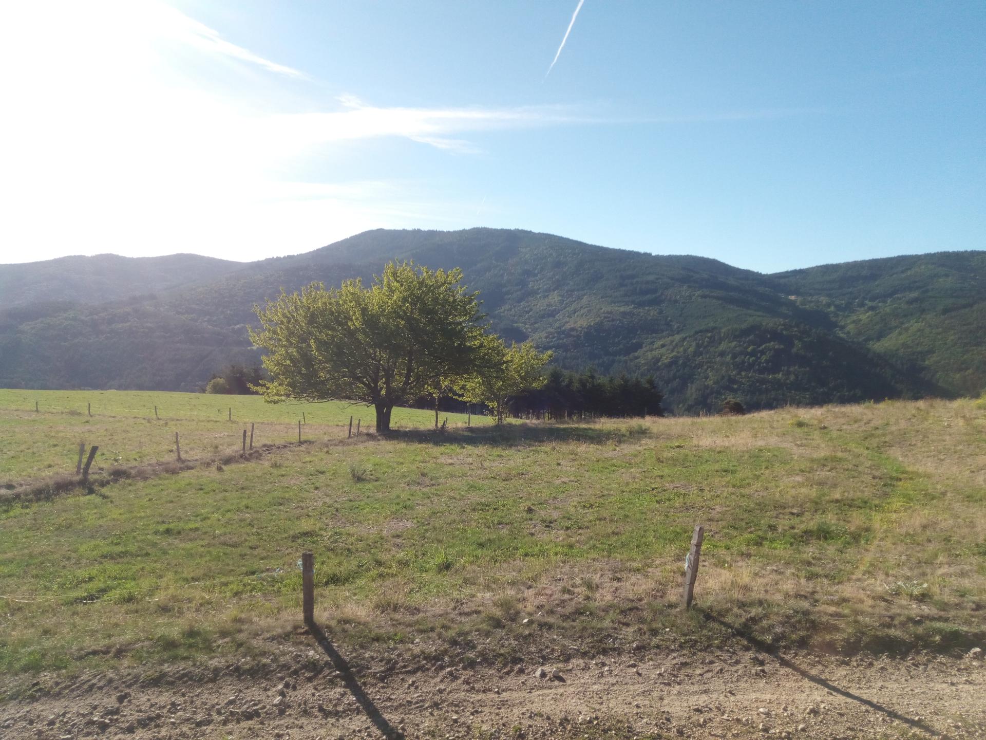 Les zones bleues et leur fonctionnement - Annonay - Ardeche