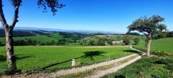 Paysage des Montagnes du Matin