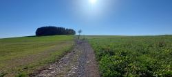 Sur le GR 7