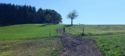 Sur le GR 7