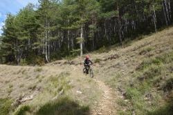 VTT-32567