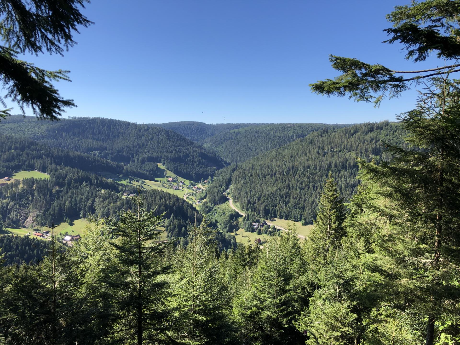 Kniebis - Glaswaldsee