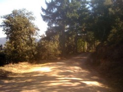 La montée