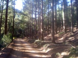 La descente