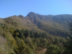 El turo de l'home