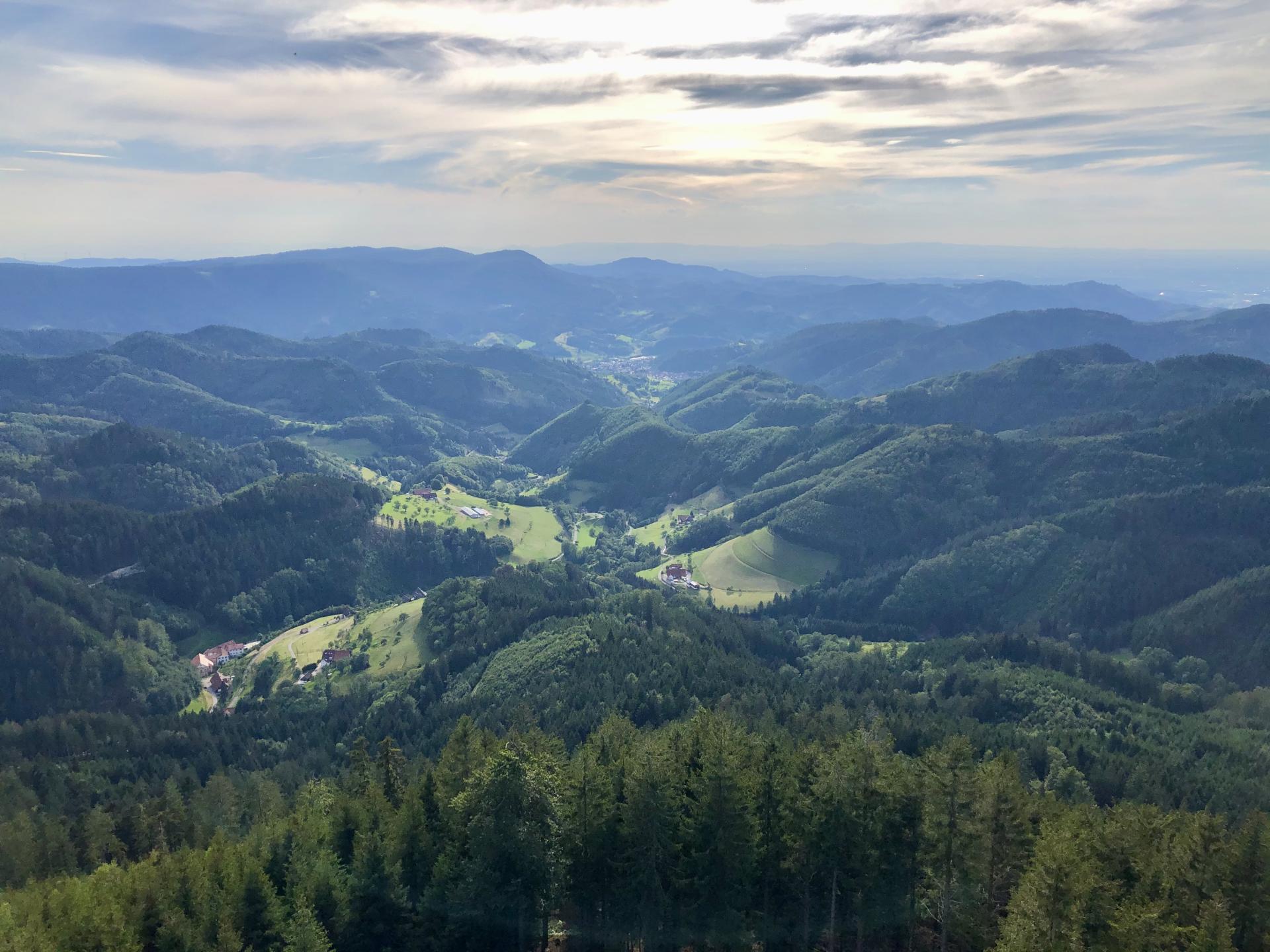 Kniebis - Buchkopfturm