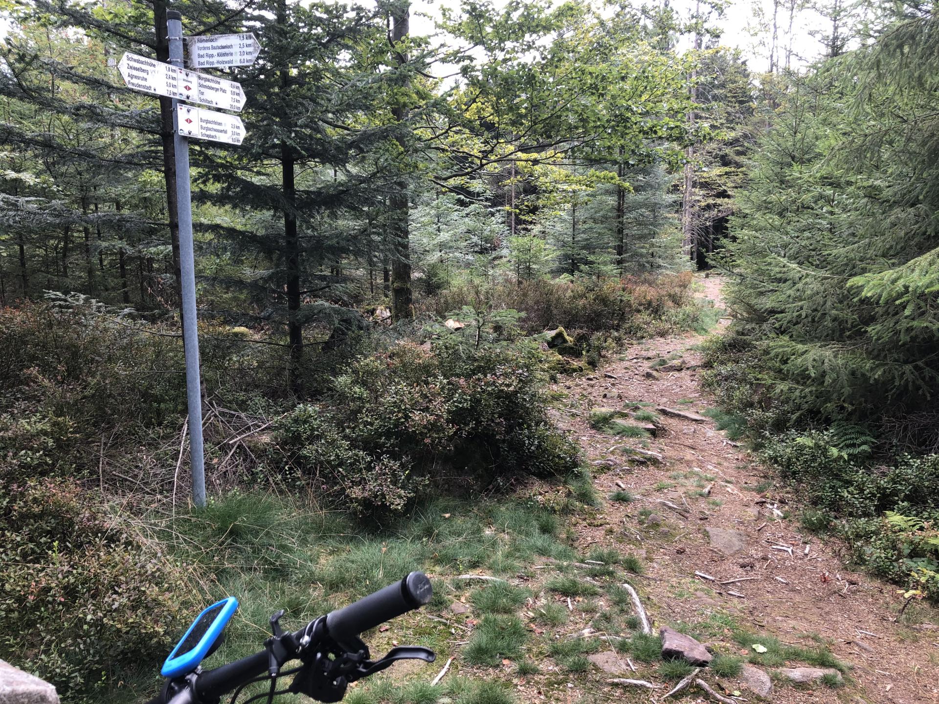 Kniebis - Grenzweg - Schapbach