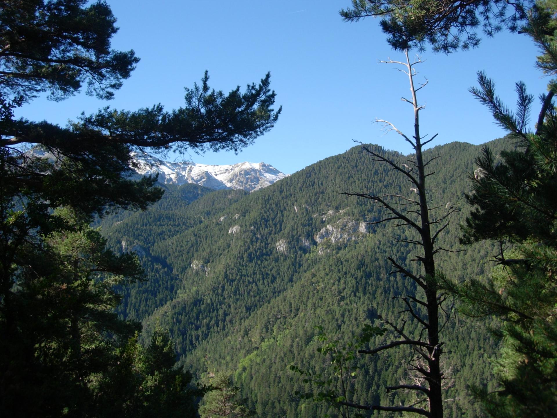 Le Coll de Jovell de Bellver de Cerdanya
