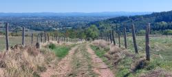 Paysage