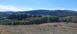 Vue sur le Bois des Servajeans