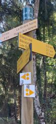 Totem, Le Fouet Haut