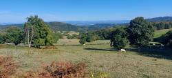 Paysage