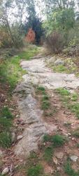Montée vers la Forêt de Pardières