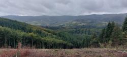 Paysage