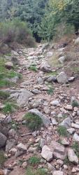 Chemin plein de pavasses entre Le Fouet Haut et Le Col de la Rivière Noire