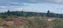 Plateau de la Verrerie, vue sur les éoliennes sur le GR 3A