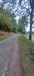 La route magique