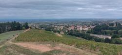 Vignoble du Boutéran (Saint André d'Apchon)