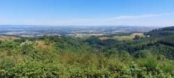 Paysage