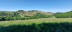 Paysage